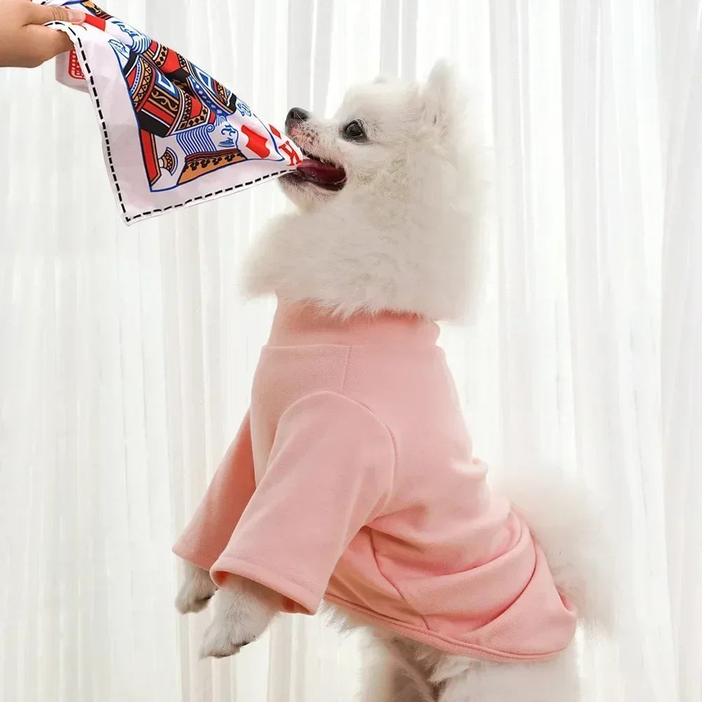 Tearproof Dog Sound Chew Toy Simulated Squeak Newspaper Playing Card K Q J Teeth Resistant Corgi Teddy Puppy Pet Interactive Toy