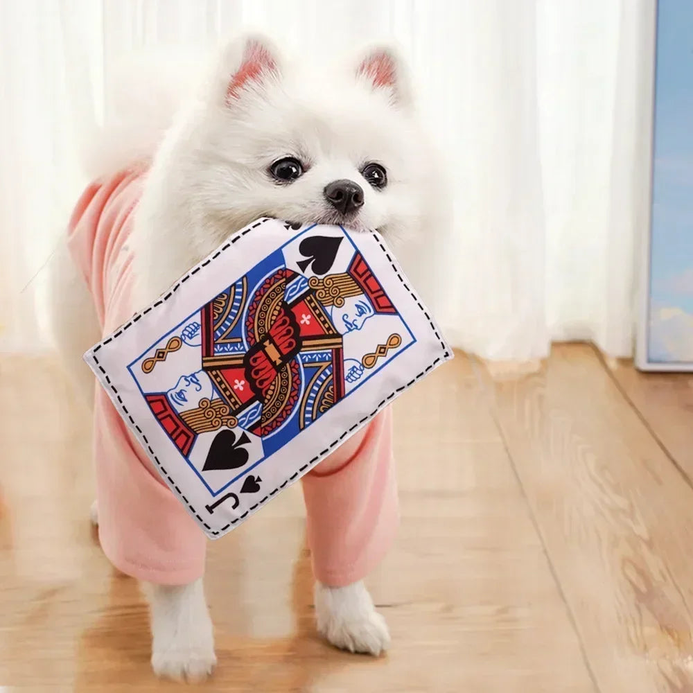 Tearproof Dog Sound Chew Toy Simulated Squeak Newspaper Playing Card K Q J Teeth Resistant Corgi Teddy Puppy Pet Interactive Toy