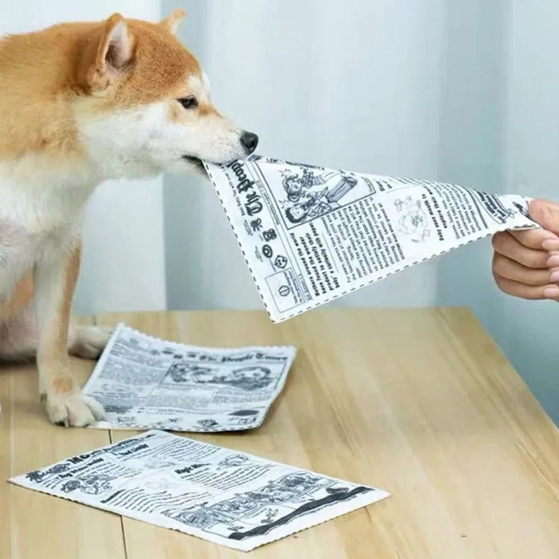Wallypaw Newspaper & Playing Card Squeaky Dog Toy